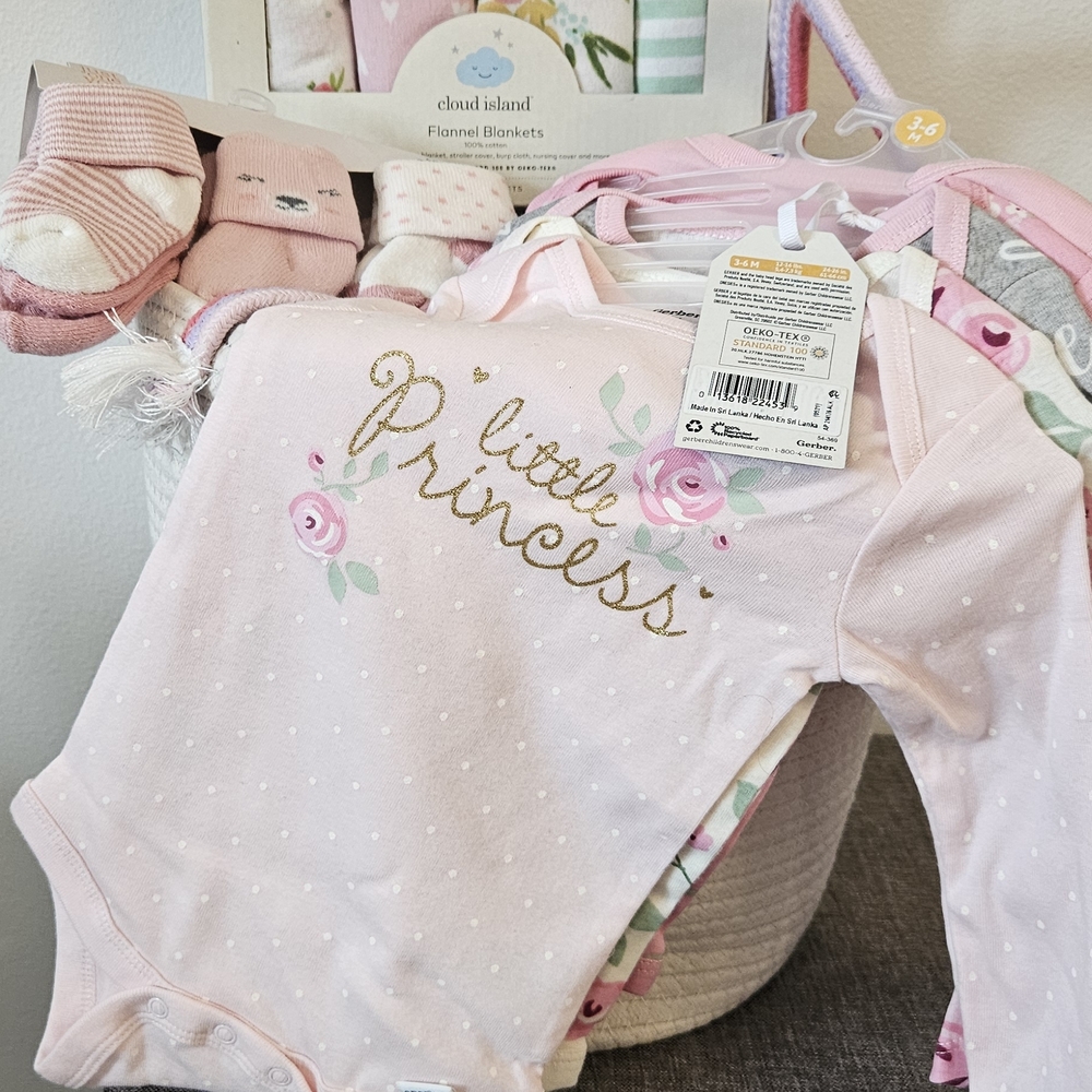 Baby Girl Pink and Floral Gift Basket Bundle